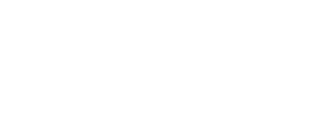 Bull Training